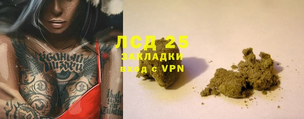 ПСИЛОЦИБИНОВЫЕ ГРИБЫ Алексин