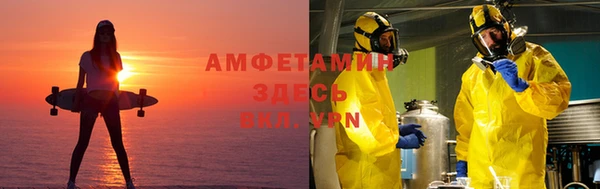 ПСИЛОЦИБИНОВЫЕ ГРИБЫ Алексин