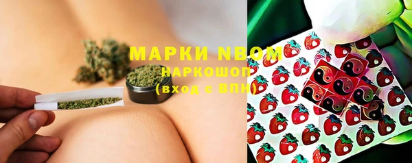 ПСИЛОЦИБИНОВЫЕ ГРИБЫ Алексин