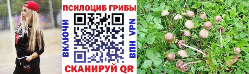 Галлюциногенные грибы Psilocybine cubensis  Пучеж 